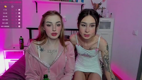 amysplit  13-02-2022